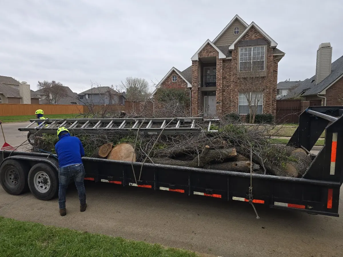 Expert Tree Pest Control with proper safety equipment in Morrow